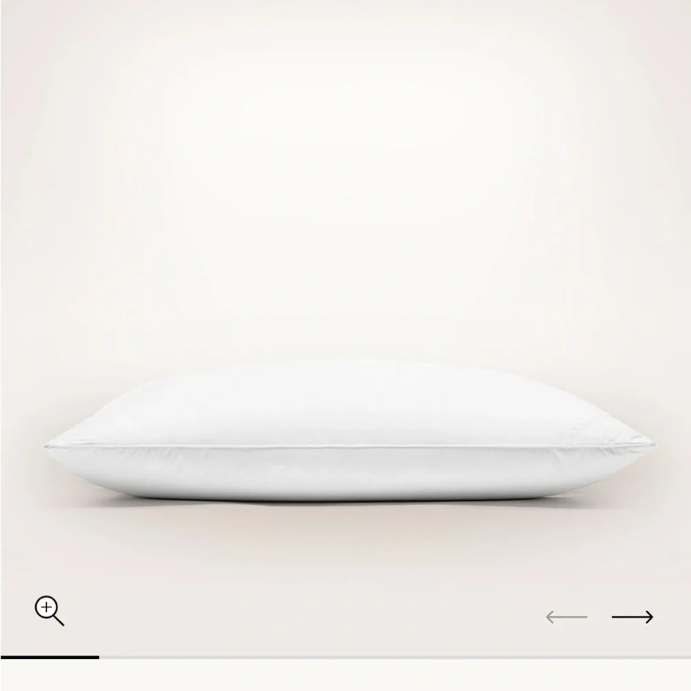NWOT Boll and Branch Down pillow FIRM King